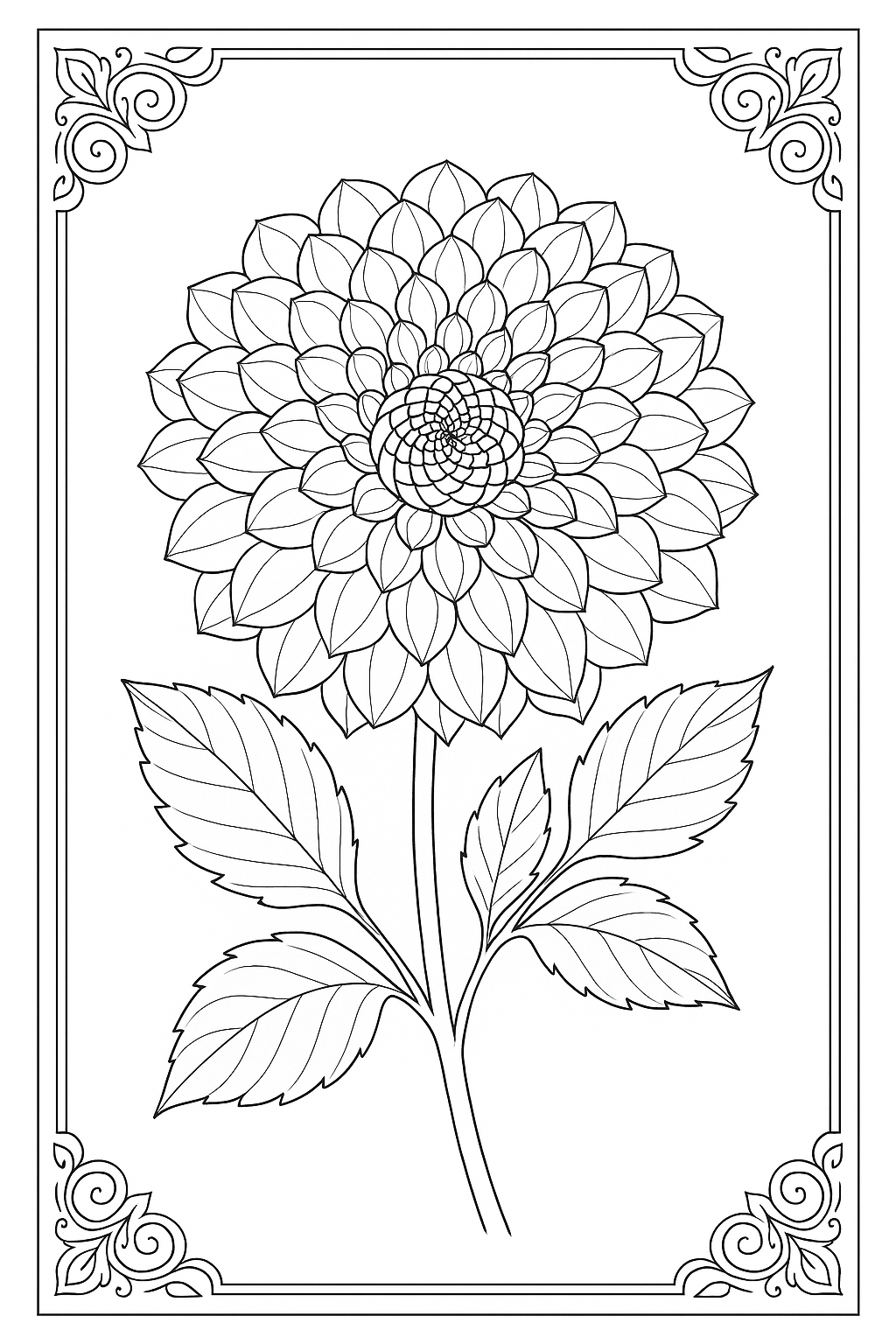 Dahlia Bloom Coloring Page