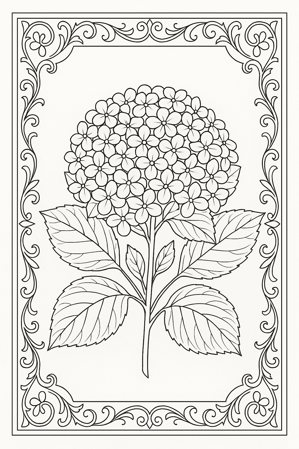 Hydrangea Cluster Coloring Page