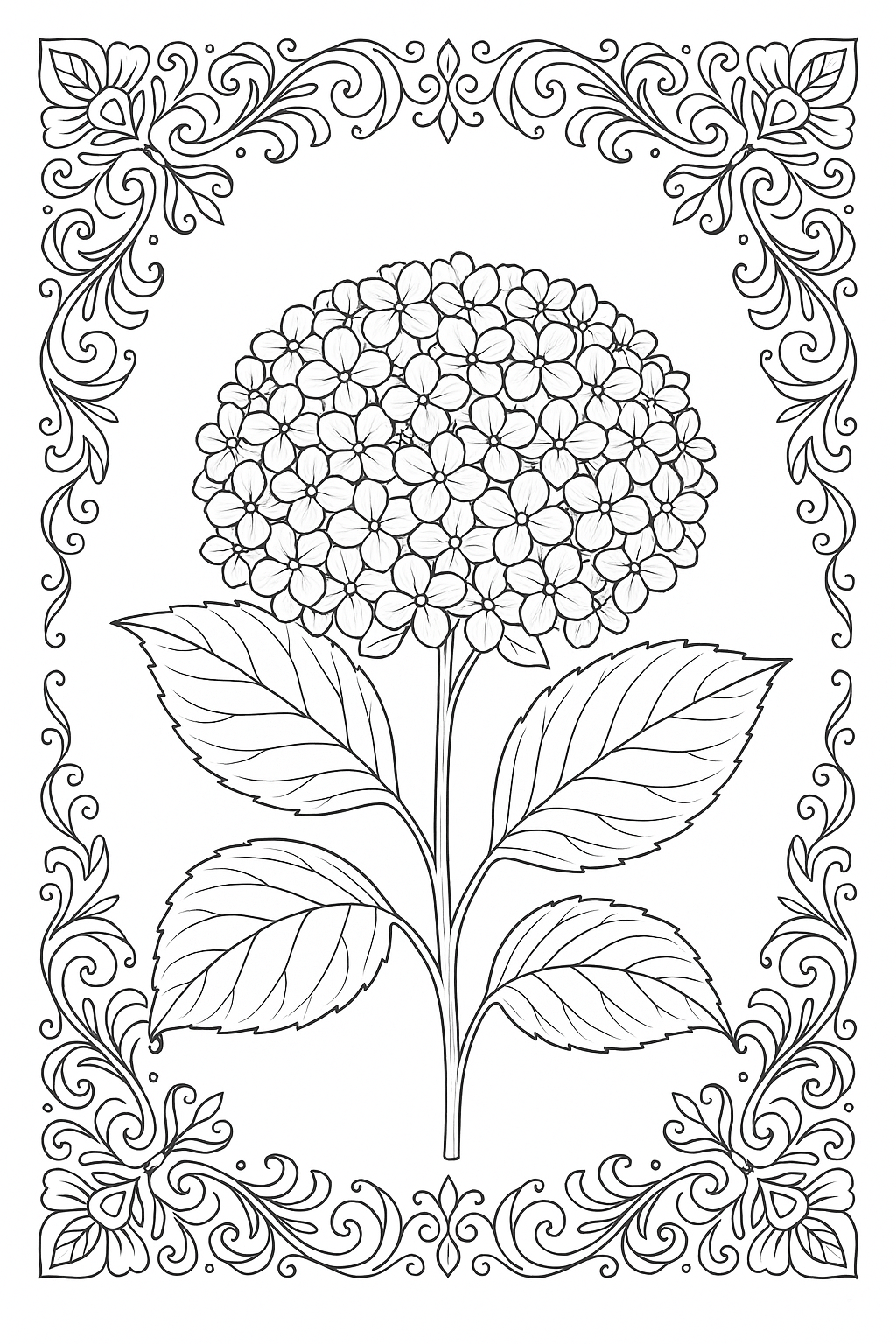 Summer Hydrangea Coloring Page