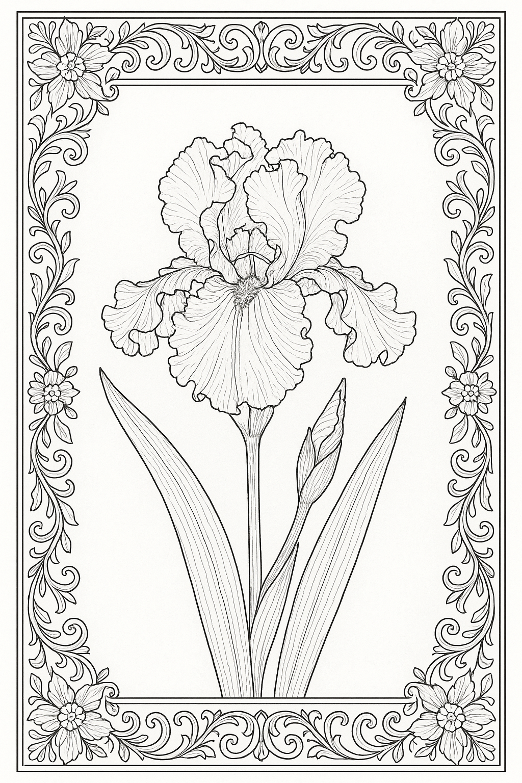 Iris Coloring Page