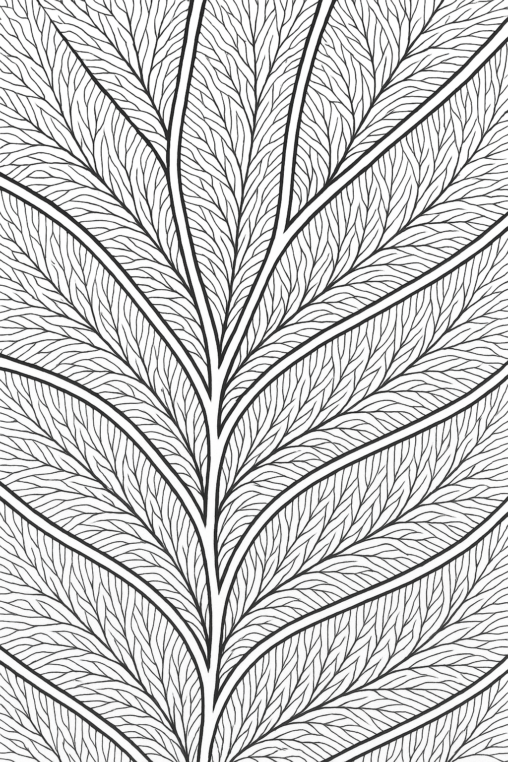 Leaf Vein Zentangle Page